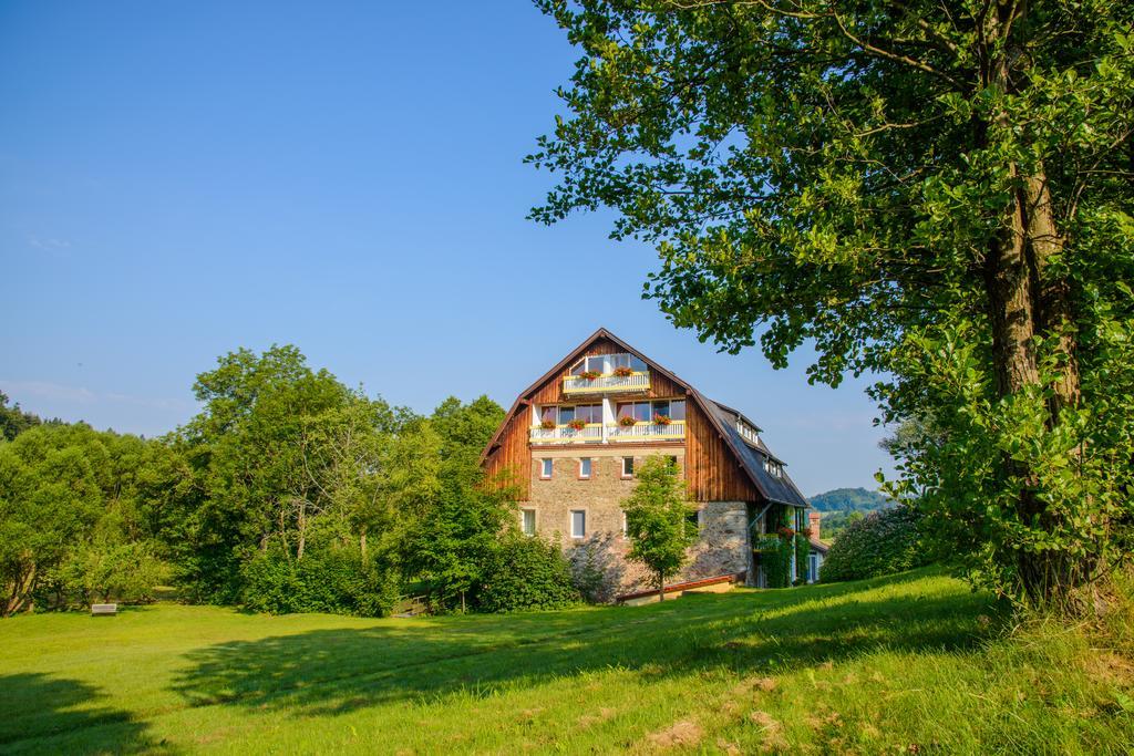 Hotel Frankenschleif Waldmünchen Exterior foto